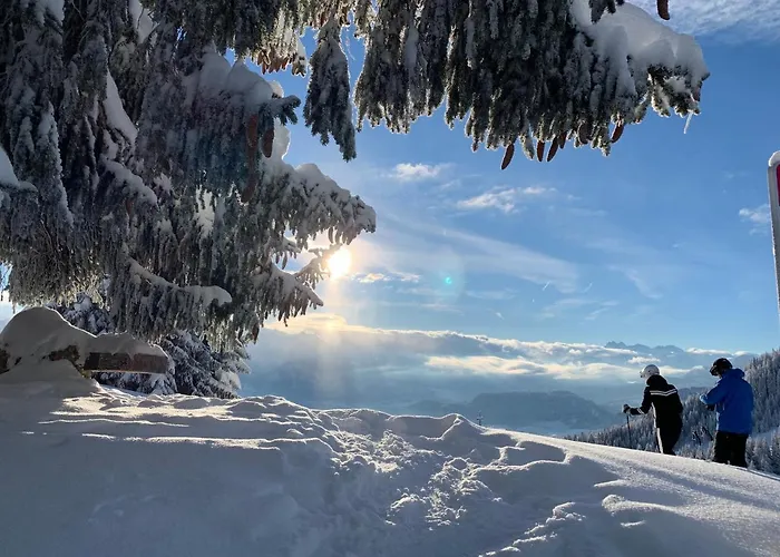Meb Luxurioeses, Alpines Im Chalet-stil *