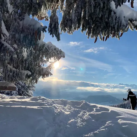 Meb Luxurioeses, Alpines Im Chalet-stil *